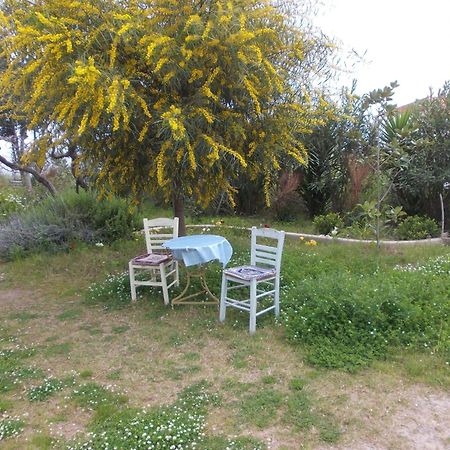 Kassimiotis Aparthotel Agios Andreas  Екстериор снимка